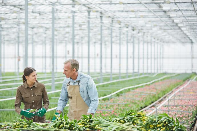 Mujer y hombre en un huerto industrializado